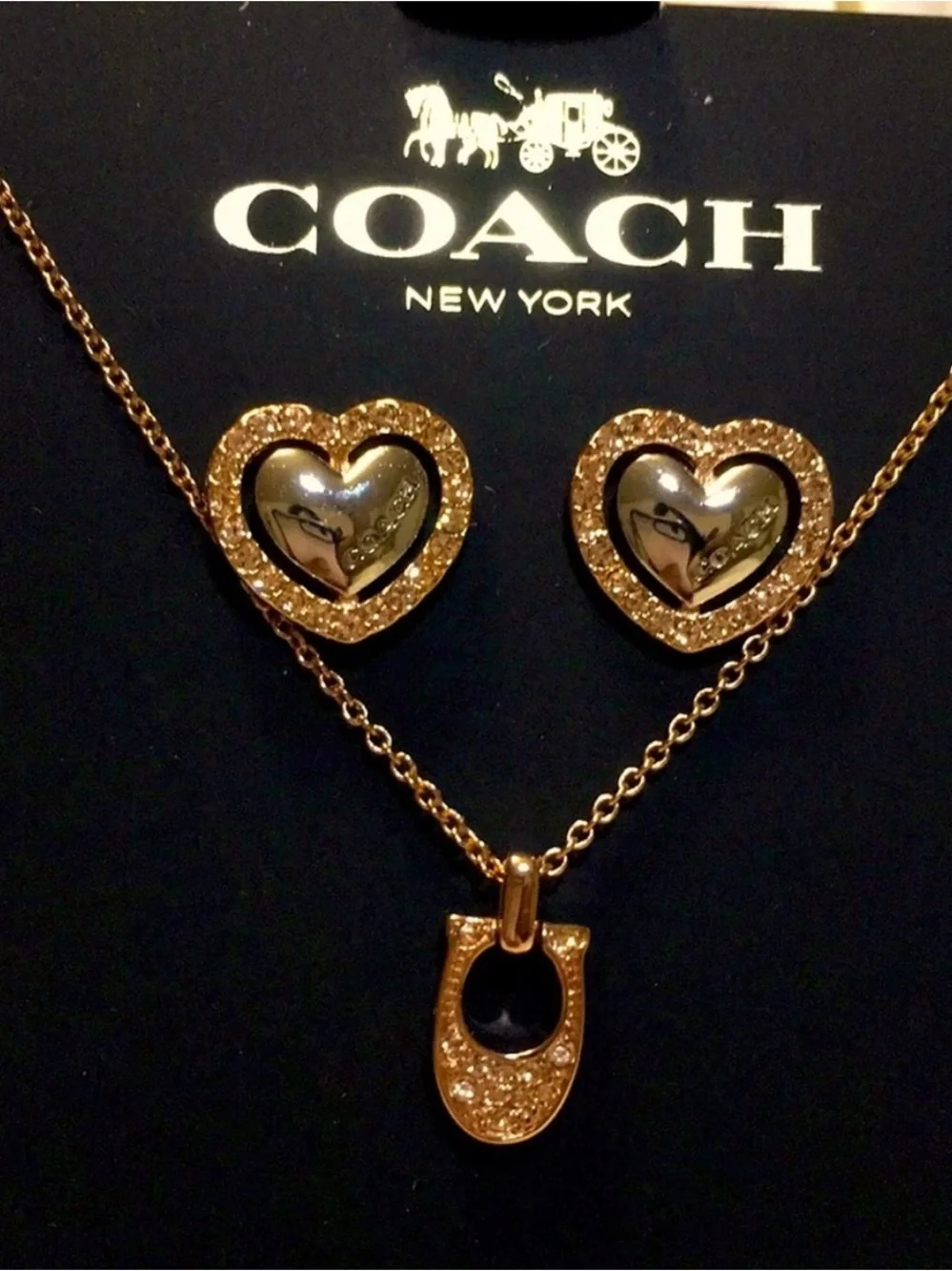 🐴Coach® Stunning Rose Gold Necklace Set🐴